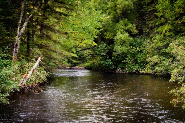 Wild Rivers Conservancy of the St. Croix &#038; Namekagon