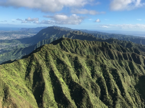 Koʻolau Mountains Watershed Partnership – ʻOhu ʻOhu Koʻolau Inc.