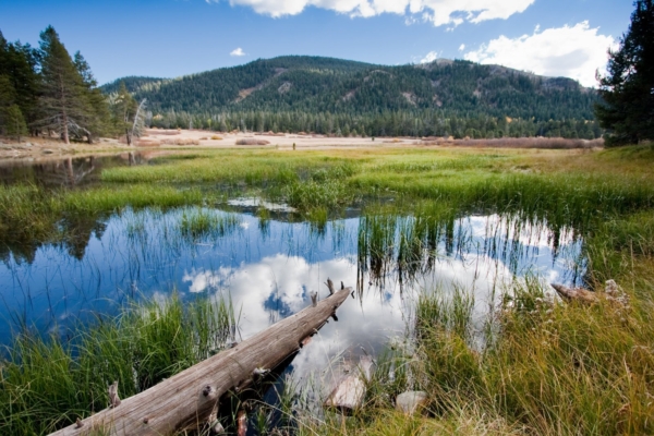 Truckee River Watershed Council