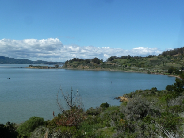 Citizens for East Shore Parks