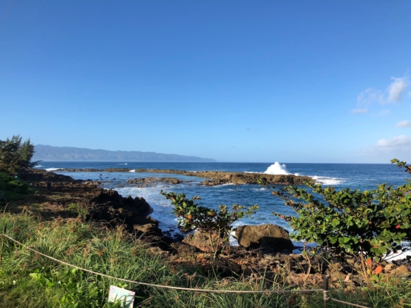 Mālama Pūpūkea-Waimea