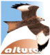 Altura – Associazione per la Tutela degli Uccelli Rapaci e dei loro Ambienti Logo