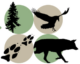 Cascadia Wild Logo