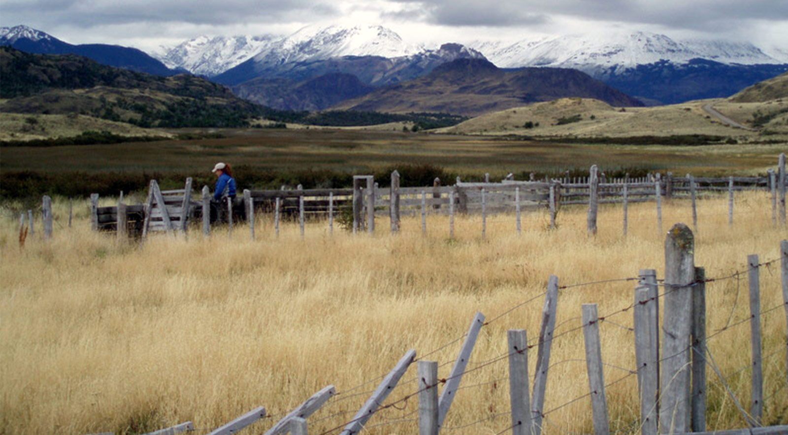 The Defence of Patagonia An Employee's Internship with Conservacion