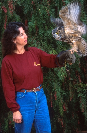 Kim_and_owl_3_2