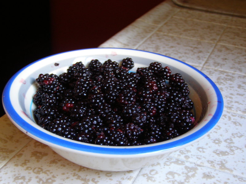 Berry_bowl