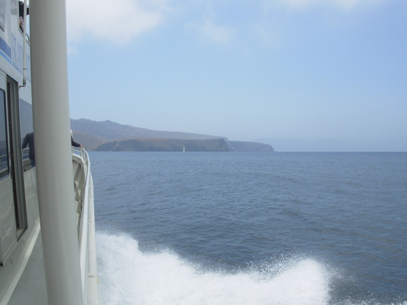 From_the_ferry