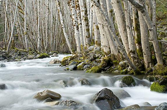River2