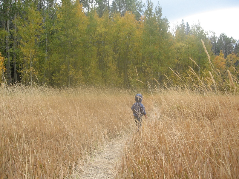 Spoonerhiking