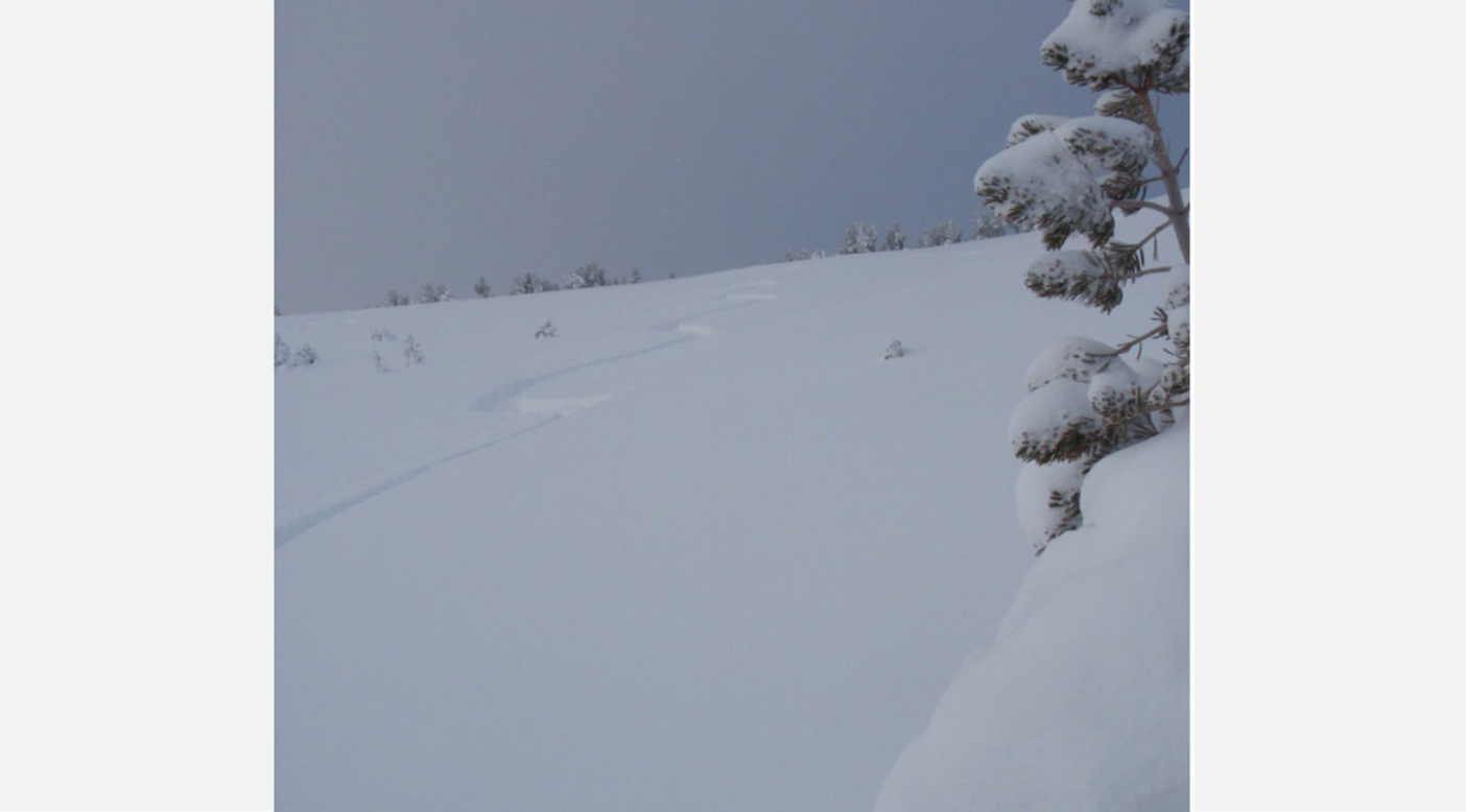 Photo: localcrew