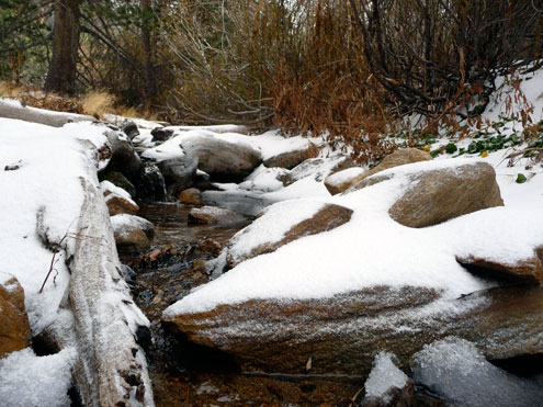 11_lodgepolespring_drylake