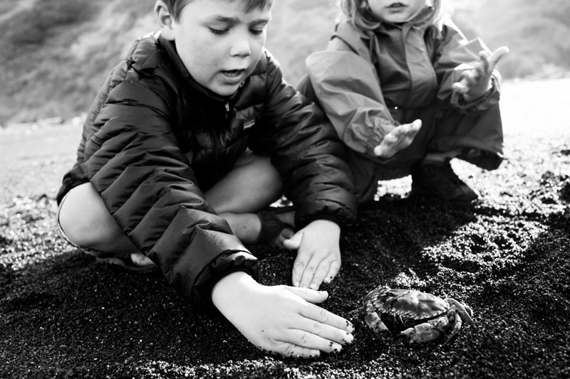 Lost Coast3