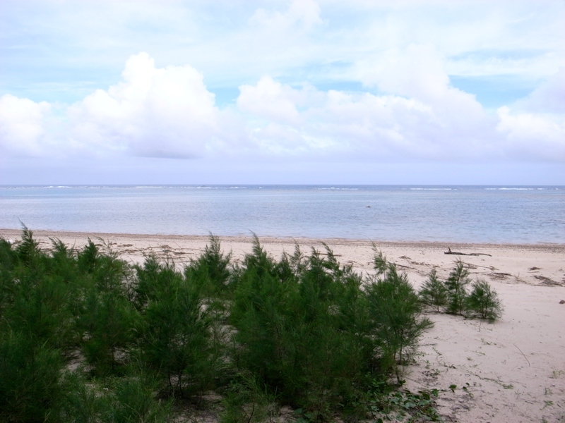 Kayo beach where the Fall research was conducted