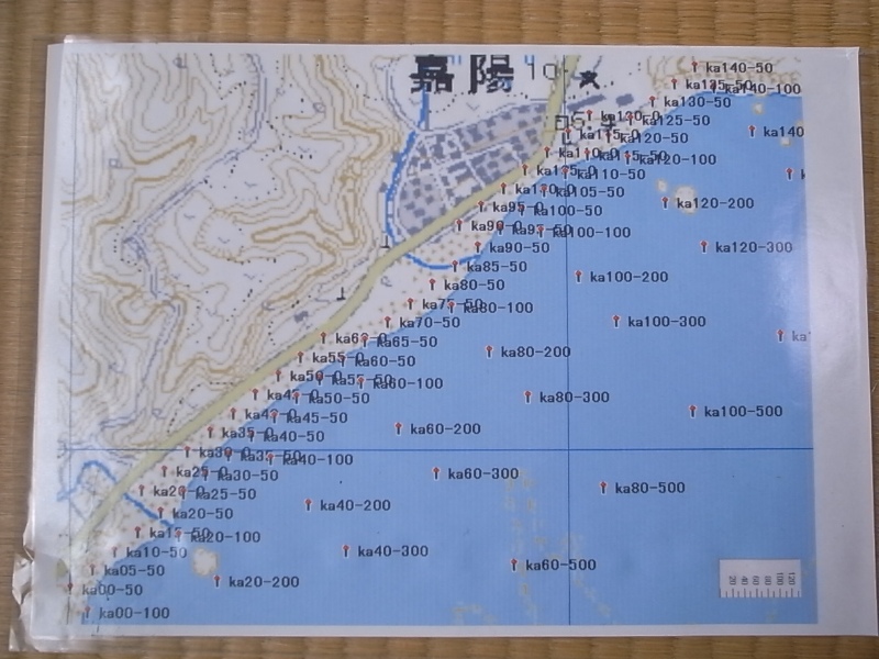 The marker's map for Kayo area