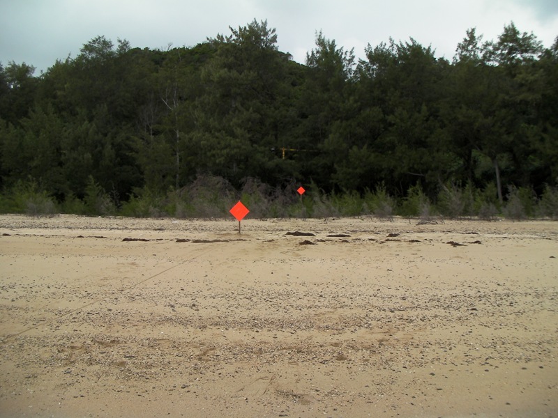 Two orange signs which are placed vertically to the beach