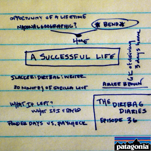 A_successful_life