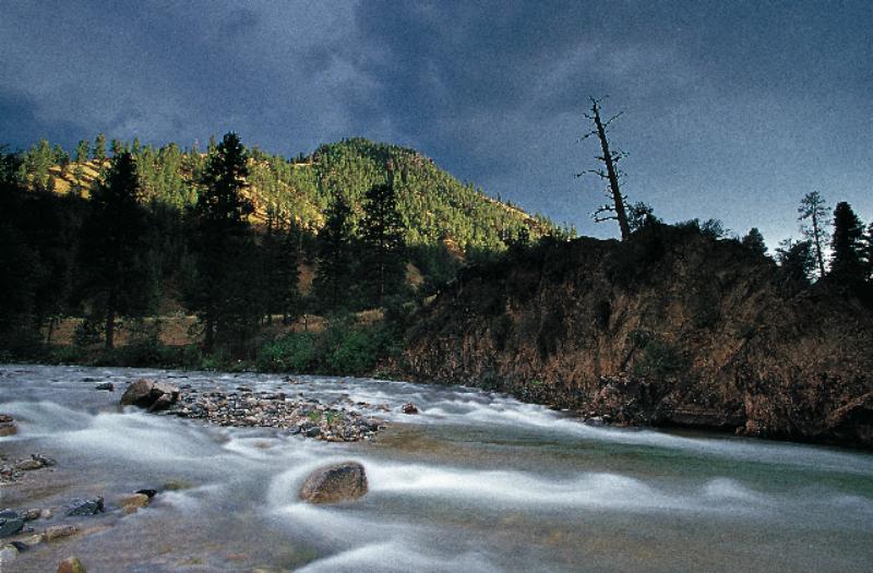 Salmon habitat