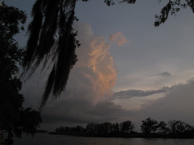 Evening clouds