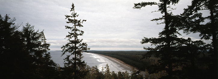 Haida_gwaii_joecurren_24