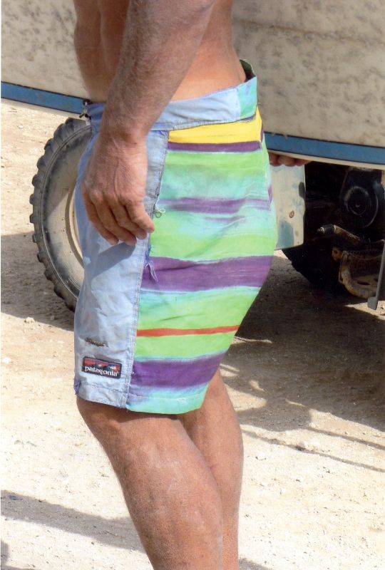 Patagonia_board_shorts_1