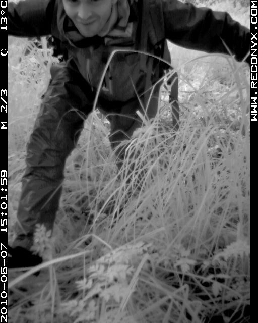 Chris_d Chris_d