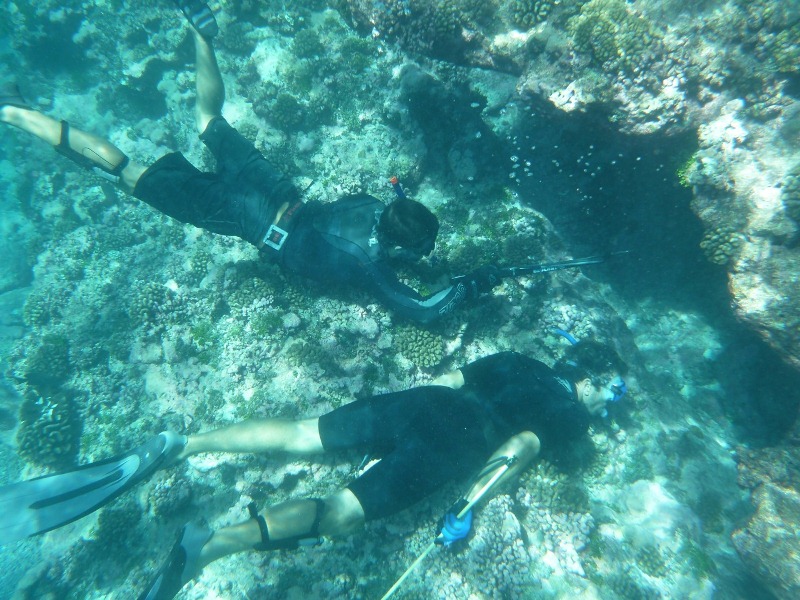 4_spearfishing