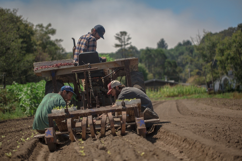 Tractor_crew