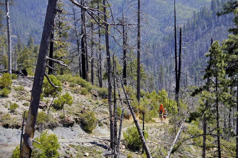 Hiking to Chetco Pass