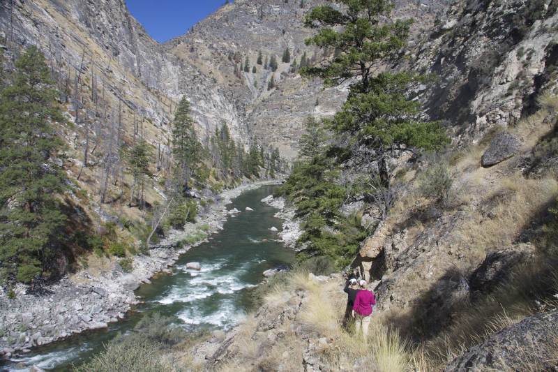 Middle Fork of the Salmon