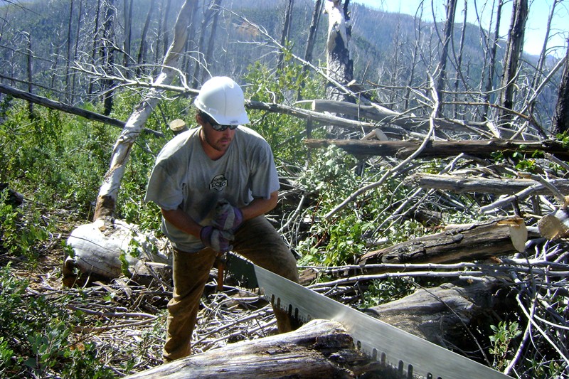 Trail Clearing in the Kalmiopsis