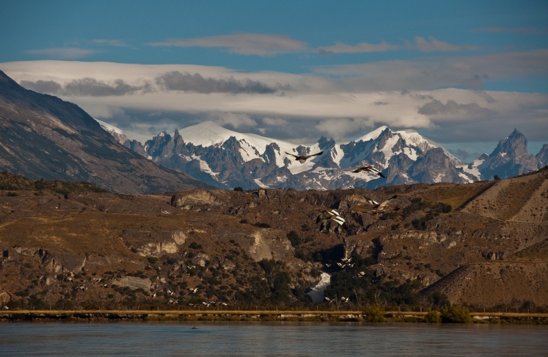 100306Patagonia0353