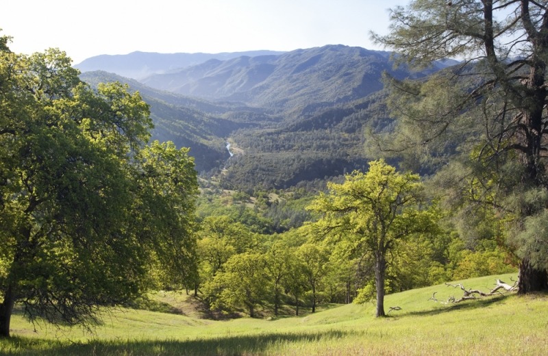 Berryessa-Cache-Cr-Wilderness-Bob-Wick-Photo