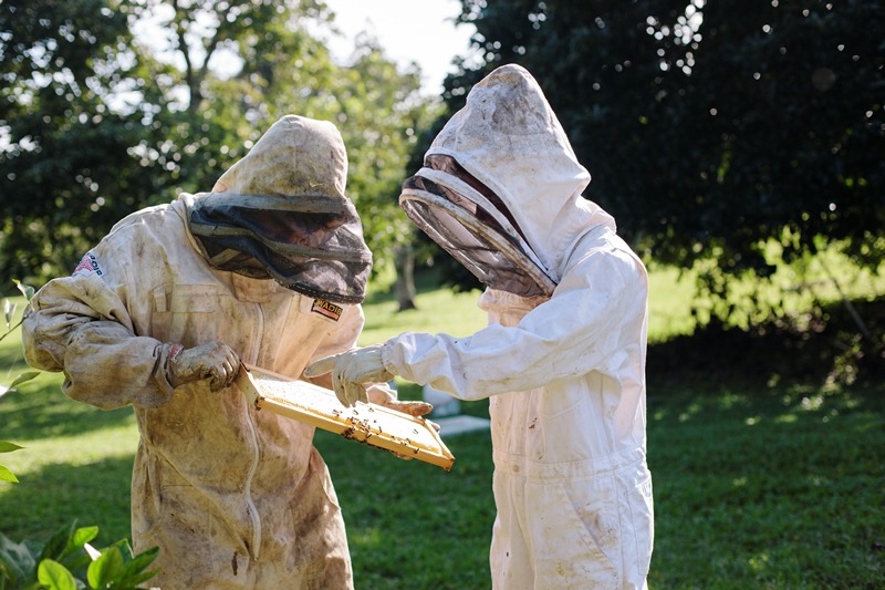 Hawai'i Beekeepers' Association