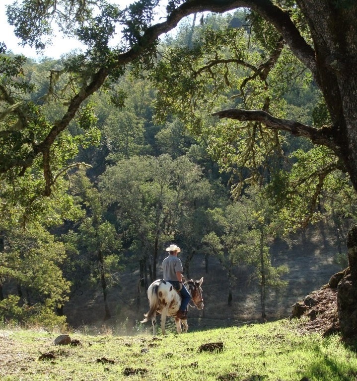 Mule Lake County Berryessa by Kim Riley