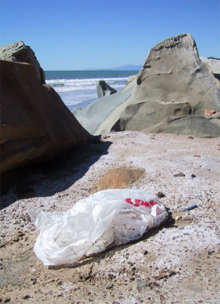 Plastic Shopping Bag Ban Considered by the City Of Santa Barbara