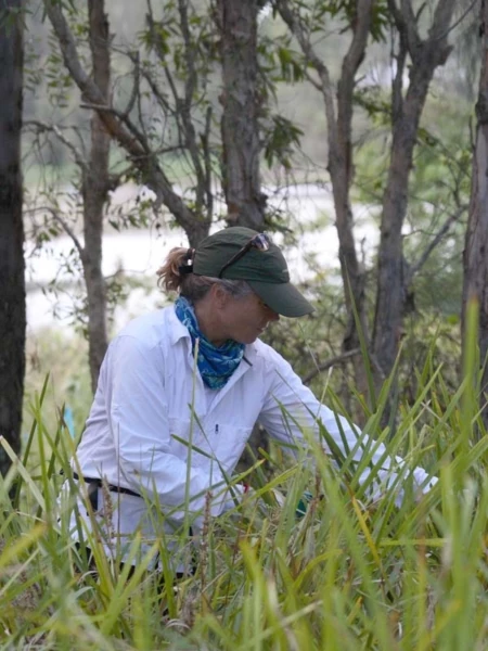 Battling Weeds and Nurturing Bats with  Moreton Bay Coastcare in Australia