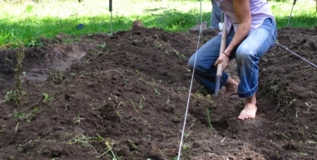 Simple Pleasures at Good Times Farm