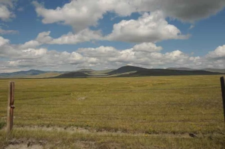 Patagonia Dillon Gives Local Pronghorn a Little More Freedom to Roam