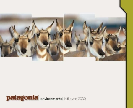 By the Numbers: Quantifying Some of Patagonia’s Environmental Initiatives