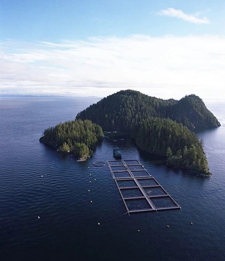 Freedom To Roam and Oceans As Wilderness: Eye On Aquaculture