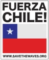 Chile Earthquake / Tsunami Video and Thank You from Save The Waves Coalition