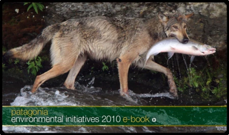 Patagonia Environmental Initiatives 2010 E-Book &#8211; Flip Through Our Year-in-Review