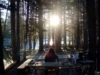 Yosemite Dispatches with Ron Kauk: Sacred Rok Summer