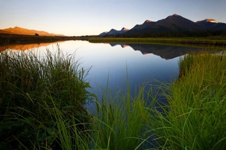 Conservation Photographers Focus on Canada&#8217;s Sacred Headwaters