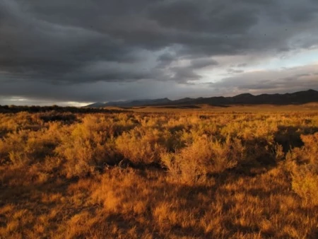 Adrift in the Sage Brush Sea: 8 Days with the Nevada Wilderness Project