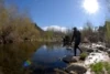 Snorkeling for Endangered Southern Steelhead Trout in the Ventura River