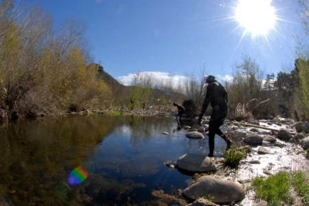 Snorkeling for Endangered Southern Steelhead Trout in the Ventura River