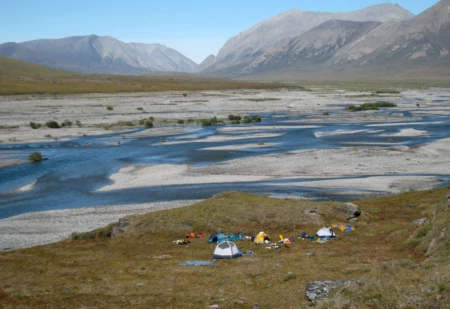 Protect the Arctic National Wildlife Refuge for Good &#8211; Speak Out Now