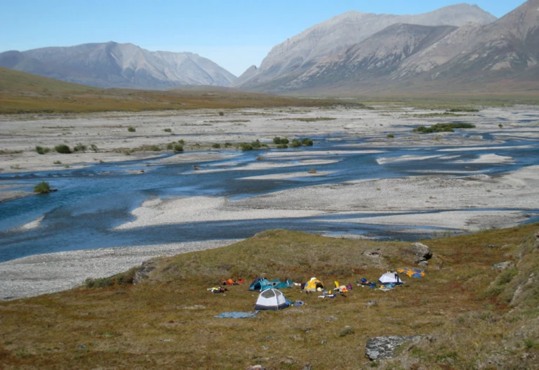 Protect the Arctic National Wildlife Refuge for Good – Speak Out Now