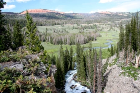 Putting Pen to Paper in Opposition of the Pebble Mine